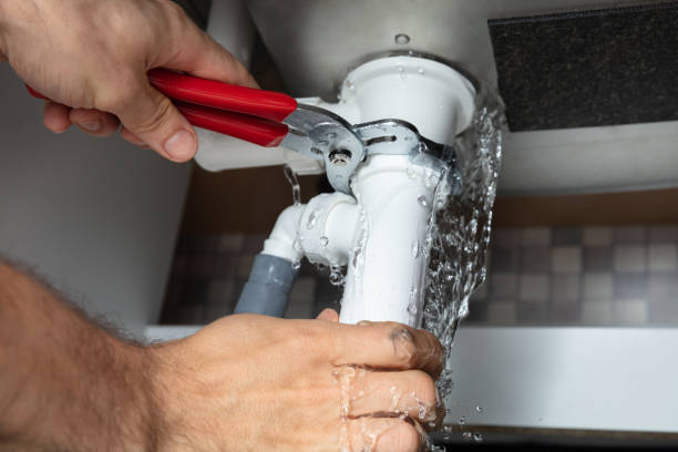 Best Mold removal after water damage  in Richwood, NJ