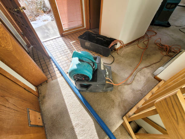 Best Carpet water damage restoration  in Richwood, NJ
