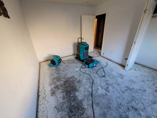 Best Water damage restoration near me  in Richwood, NJ
