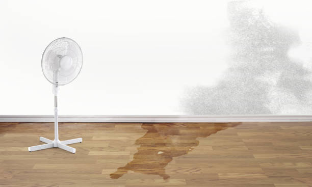 Best Sewage cleanup and water damage restoration  in Richwood, NJ