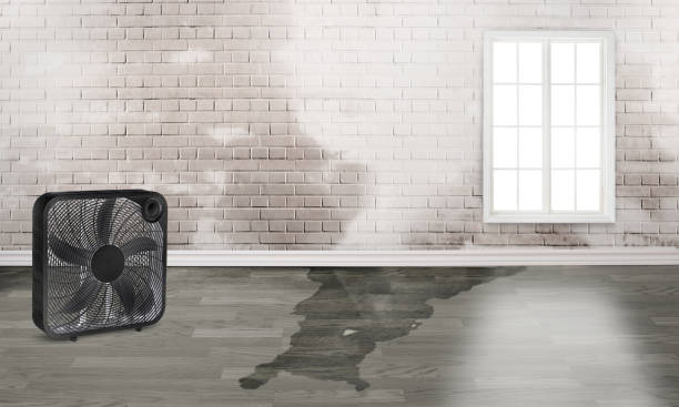 Best Water damage restoration near me  in Richwood, NJ