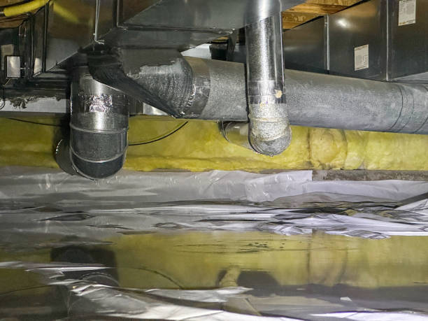Best Basement water damage restoration  in Richwood, NJ